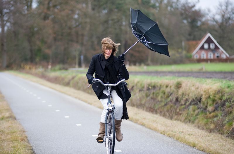 Windgeschwindigkeiten von mehr als 74 km/h werden als Sturm bezeichnet. Das entspricht einer Stärke 9 auf der Beaufort-Skala. Ab 102 km/h (Windstärke 10) handelt es sich um einen schweren Sturm, ab 117 km/h (Windstärke 11) um einen orkanartigen Sturm, ab 118 km/h (Windstärke 12) spricht man von einem Orkan. 