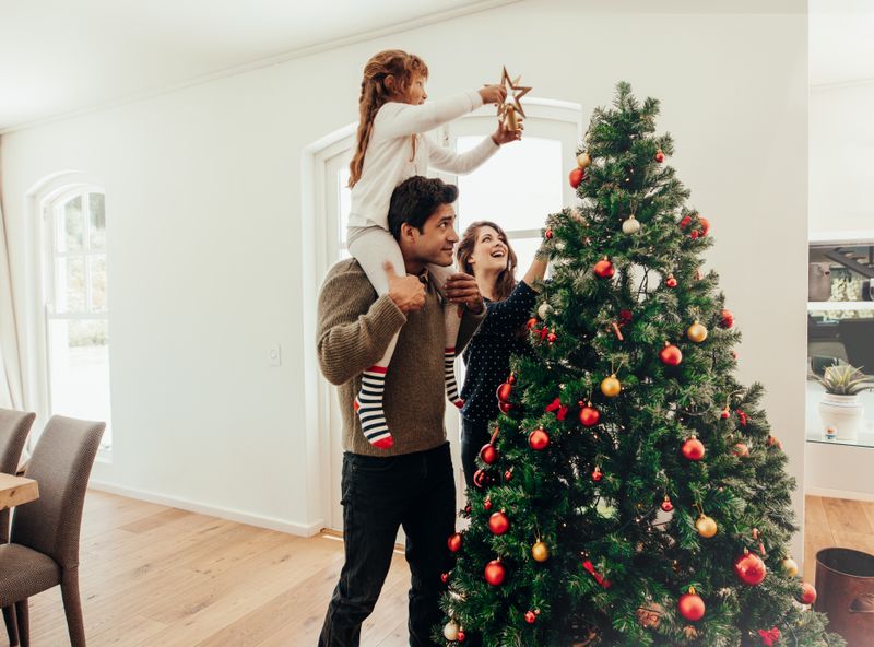 Der Baum wird geschmückt, Endspurt zum Fest, die Vorfreude steigt. Bis zu diesem Zeitpunkt kann man schon sehr viel richtig gemacht haben, damit der Weihnachtsbaum auch noch in den nächsten Tagen oder sogar Wochen Herrlichkeit ausstrahlt, ohne dabei allzu viele Nadeln abzuwerfen.