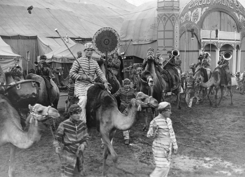 Eine Aufnahme von etwa 1930: Kamele im Krone Schau Circus.   Derzeit wird eine TV-Serie über die Anfänge des legendären Circus Krone vorbereitet. Das verriet Dreamtool-Produzent Stefan Raiser jetzt in einem Interview.