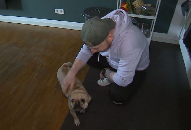 Gregor lebt mit seiner Mitbewohnerin, der französische Bulldogge Ary, zusammen.