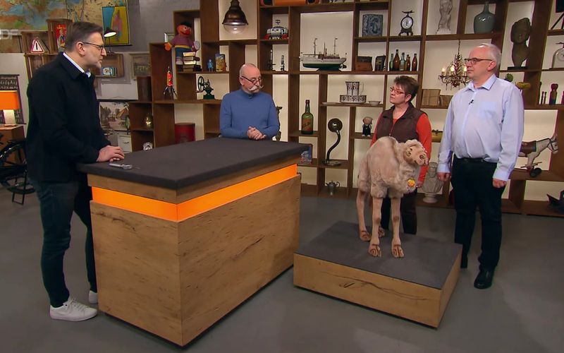 Vor allem die Wimpern dieses animalischen Objekts sorgten in der Mittwochsausgabe der ZDF-Trödelshow "Bares für Rares" für Herzflattern. Horst Lichter schien dem süßen Tierchen sofort verfallen zu sein, und auch Händlerin Lisa Nüdling konnte dem Blick nicht widerstehen - nur den geschätzten Preis aus der Expertise wollte sie nicht bezahlen.  