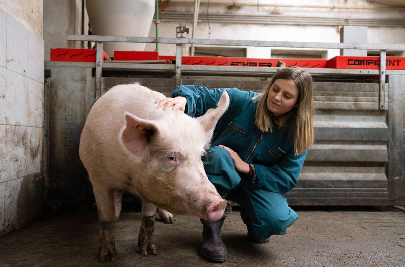 In der "Rabiat"-Reportage "Ackern oder Aufgeben:
Bauernhöfe vor dem Aus?" besucht Reporterin Elisa Luzius neben dem Hof ihrer Familie auch einen Schweinebetrieb in der bayerischen Oberpfalz. Wie steht es um die Güter und die Tiere?