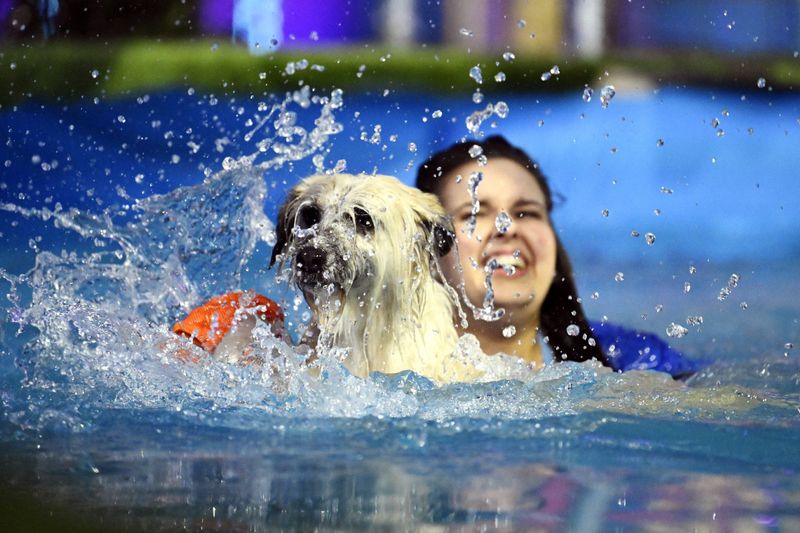 Wer seinen Wauzi liebt, der schiebt - ihn auch mal durchs Planschbecken. So wie Vivien Rettberg ihren Monsieur (Bild). Für Spannung ist gesorgt, denn es geht um die letzten drei Plätze für die Finalshow von "Top Dog Germany". Da sind alle, sogar der Titelverteidiger, hypernervös. Auf jeden Fall kann man die Spannung auf einmal sogar wirklich riechen.