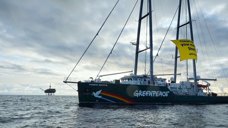 Seit Anfang der 1970er-Jahren kämpft Greenpeace für einen grüneren Planeten.