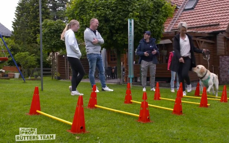 Familie Gottschalk trainiert mit ihrem Labbi Koordination.