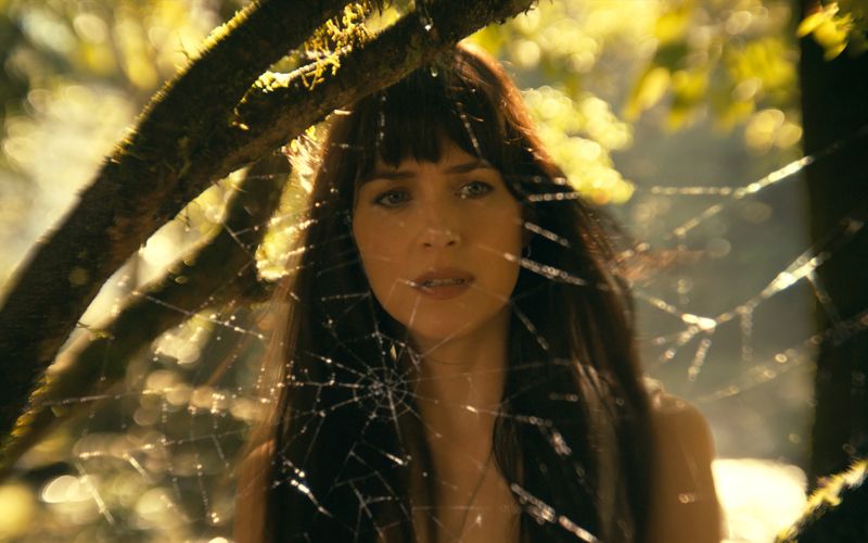 In "Madame Web" spielt Dakota Johnson die gleichnamige Superheldin. 