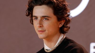 Bild zu Artikel Timothée Chalamet