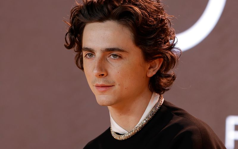 Um keinen Spaß verlegen: Timothée Chalamet mischte sich unter die Teilnehmer eines Wettbewerbs, bei dem die besten Doppelgänger des Hollywoodstars gefunden werden sollten.