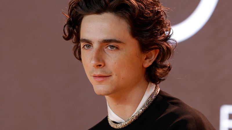 Timothée Chalamet