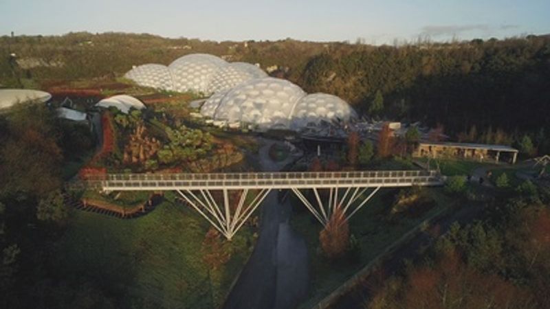 Die Ingenieurswissenschaften haben sich in der Natur besonders effiziente Strukturen wie Sechsecke zum Bau von Brücken oder Gebäuden abgeschaut. 