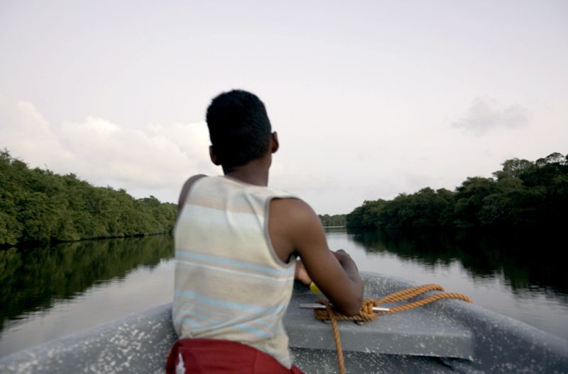 Im honduranischen Dschungel wollen die Filmemacher mehr über ein Mangrovenschutzprojekt erfahren.