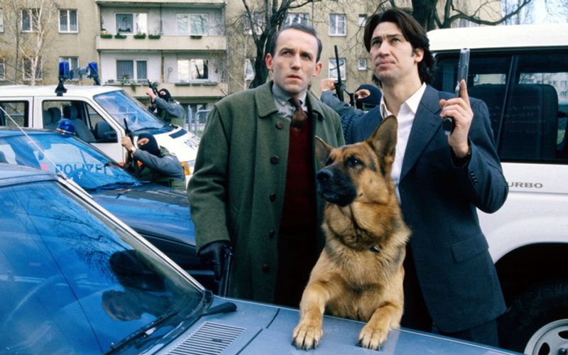 Nicht nur in Österreich und Deutschland absoluter Kult: In über 40 Ländern weltweit, von Argentinien bis Zypern, liefen die Abenteuer von "Kommissar Rex" (1994-2004) erfolgreich im Fernsehen. Nach zehn Staffeln war zunächst Schluss, später wanderte der Schäferhund nach Italien aus und ermittelte dort weiter. Die Galerie zeigt, was aus seinen österreichischen Polizei-Kollegen wurde ...