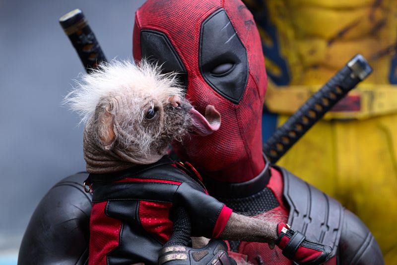 Deadpool (Ryan Reynolds) und der vielleicht hässlichste Hund, der je auf einer Kinoleinwand zu sehen war: Die "Deadpool"-Filme sind bekannt für ihren eigenwilligen Sinn für Humor.