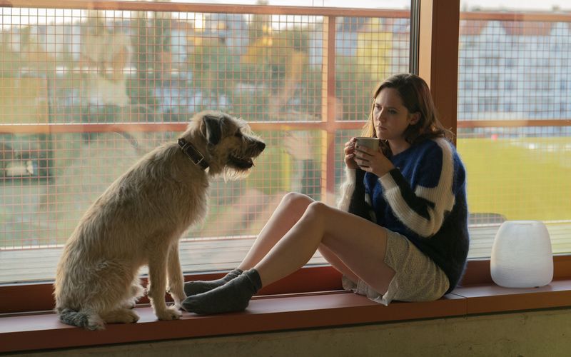 Auf den Hund gekommen: Die von ihrem Freund sitzengelassene Ella (Emily Cox) holt sich den Mischling Bozer aus dem Tierheim.