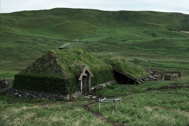 Fjölnir hat sich nach dem Verlust des Königreichs, das er seinem Bruder gestohlen hat, auf seinen Hof (Bild) in Island zurückgezogen. Hier schleicht sich sein Neffe Amleth ein, um sich zu rächen.