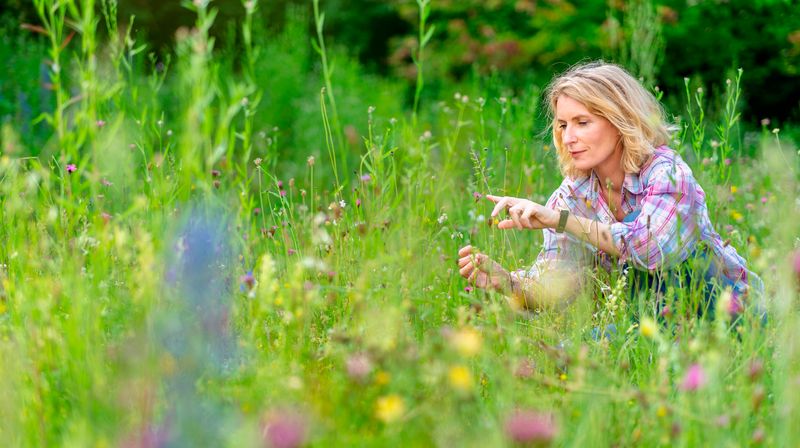 Maria Furtwängler begibt sich auf Spurensuche, warum es immer weniger Insekten gibt, und was das für uns alle bedeutet.

