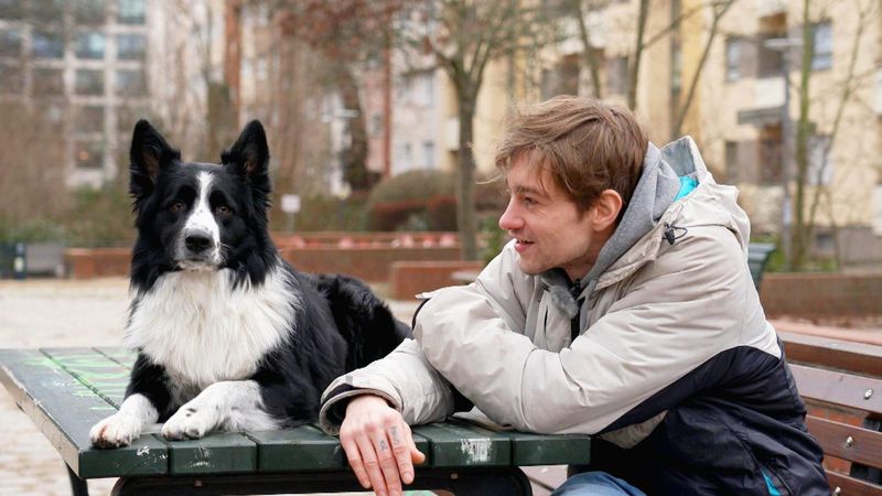 Bordercollie Ninja und sein Herrchen Dominik sind kein gewöhnliches Mensch-Tier-Duo: Die beiden betreiben gemeinsam die anspruchsvolle Trendsportart Parkour.