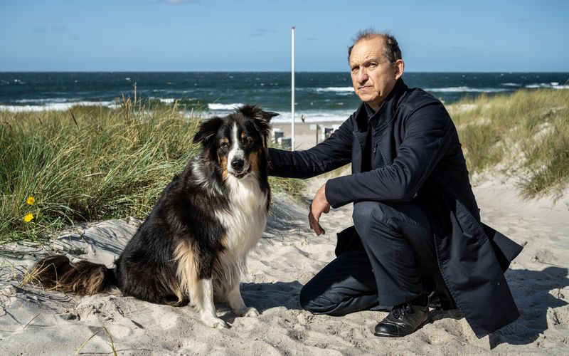 Chefermittler Sievers (Peter Heinrich Brix) findet in "Nord Nord Mord - Sievers und der verlorene Hund" einen herrenlosen Australian Shepherd am Sylter Strand. Auf der Insel werden gerade Hund vermisst - und ein Bestsellerautor wurde mit Pfeil und Bogen erlegt. 