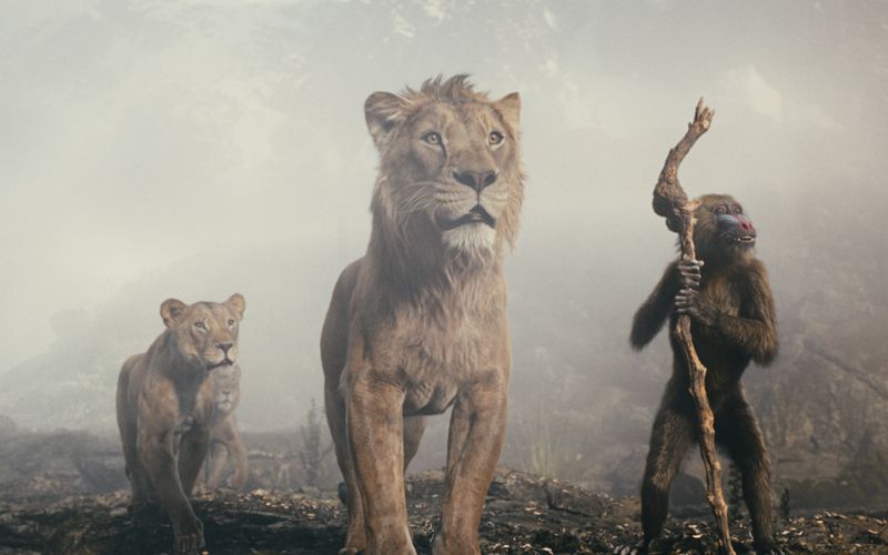 In "Mufasa: Der König der Löwen" erzählt der Affe Rafiki (rechts) die Geschichte von Simbas Vater Mufasa (Mitte).