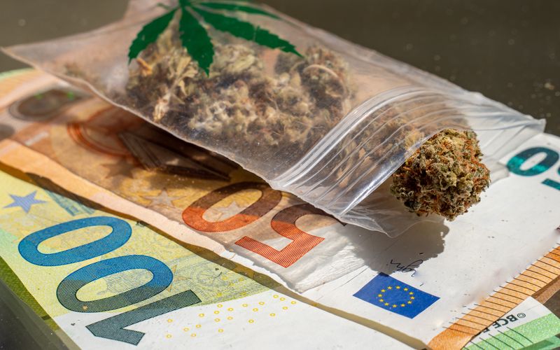 Die "Y-Kollektiv"-Doku "Grünes Gold: Inside Cannabis-Clubs" begleitete Deutschlands ersten Social Cannabis Club bei der ersten Ernte.