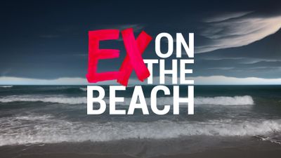 Bild zu Artikel "Ex on the Beach"