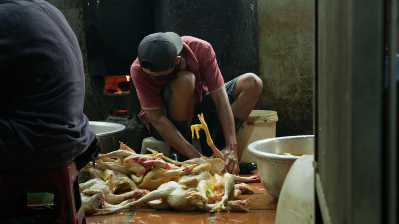 Wildtiermärkte in asiatischen Ländern (Foto: Phnom Penh in Kambodscha) gelten als Risiko für die Übertragung gefährlicher Viren von Tieren auf Menschen.