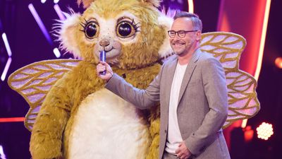 Bild zu Artikel The Masked Singer