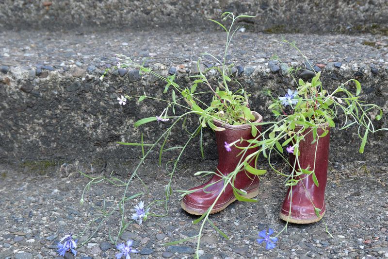 Nachhaltig, originell und kreativ - all das ist Upcycling! Wer scheinbar nutzlosen Gegenständen durch Zweckentfremdung oder Aufbereitung neues Leben einhaucht, schafft echte Hingucker im Garten, die zugleich kostengünstig und umweltfreundlich sind. Ob Möbel, Pflanzgefäße oder Deko-Elemente - durch Upcycling entstehen vielerlei praktische und schöne Ergänzungen für Ihren Garten!