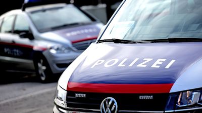 Bild zu Artikel Polizeiautos